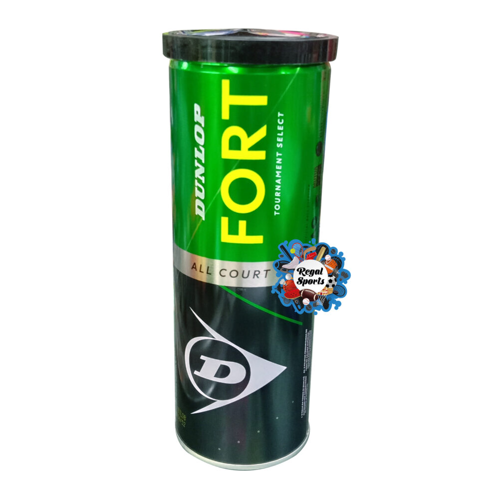 Container of 4 Balls 4 Balls Dunlop Fort All Court TS | Ofertas De